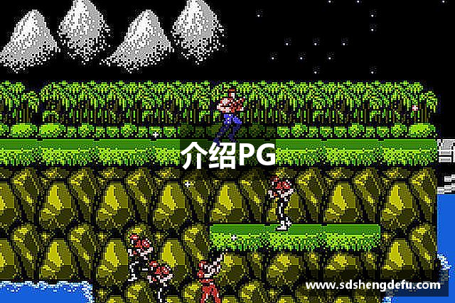 介绍PG